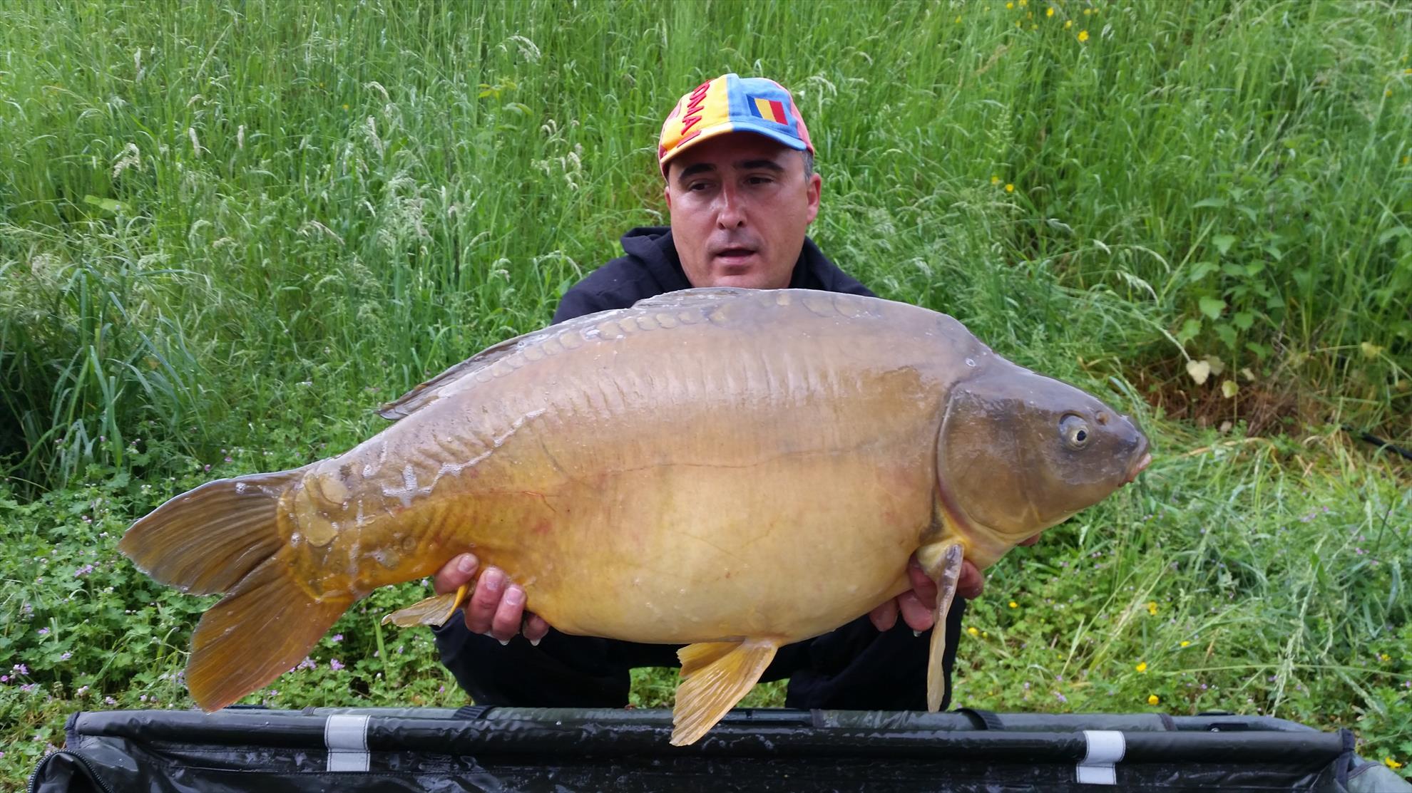 regiune Rhône-Alpes 12 mai 2016 - 20160512112556.jpg